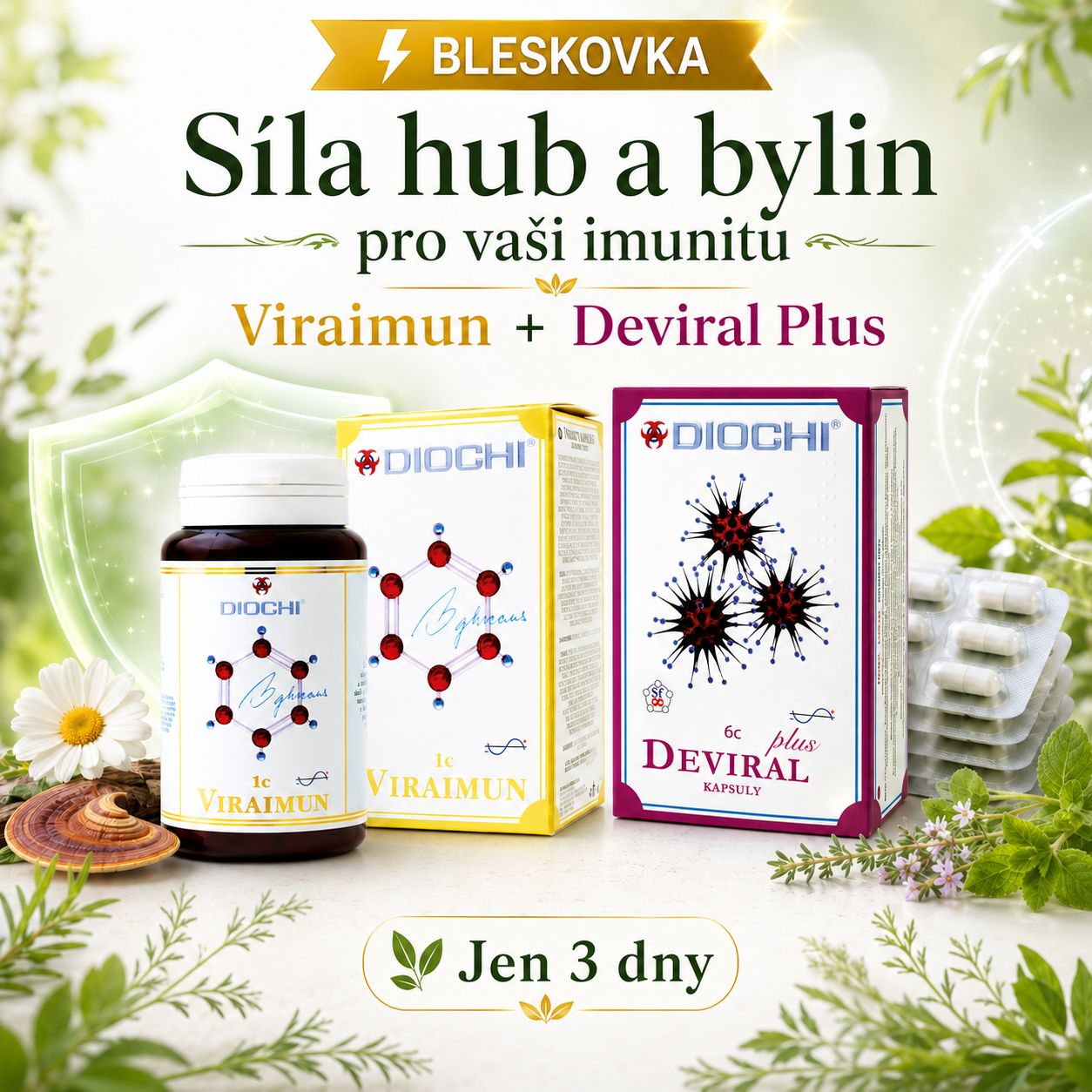 ! Bleskovka: Síla hub a bylin pro vaši imunitu