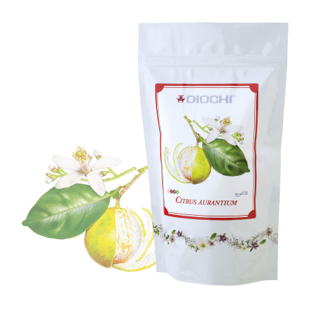 Citrus aurantium