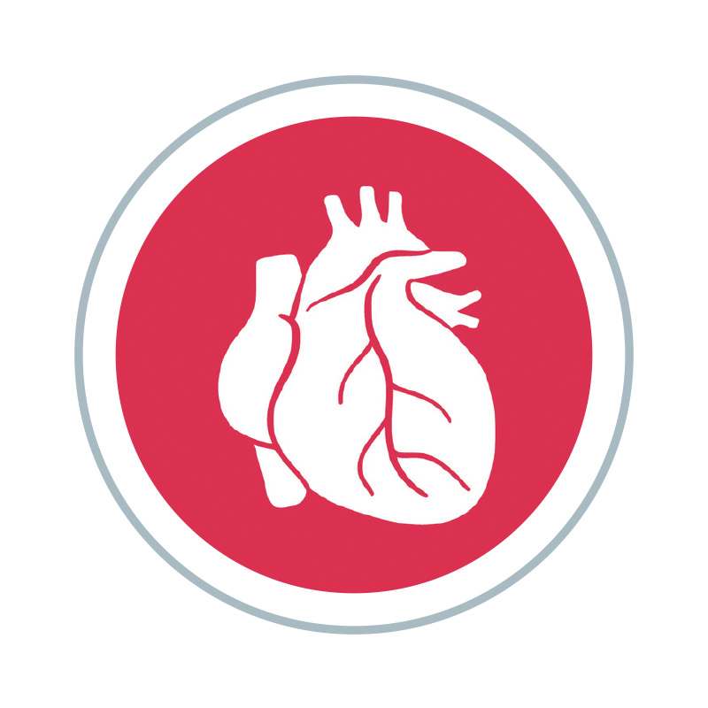 KONY NEMOCI 16 kopie