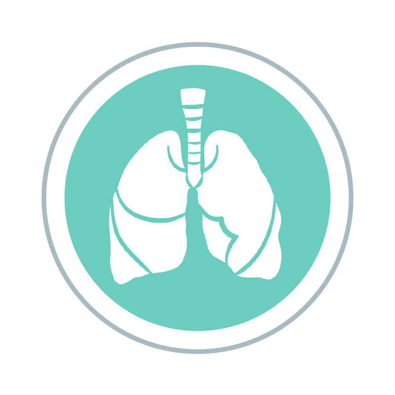 KONY NEMOCI 17 kopie